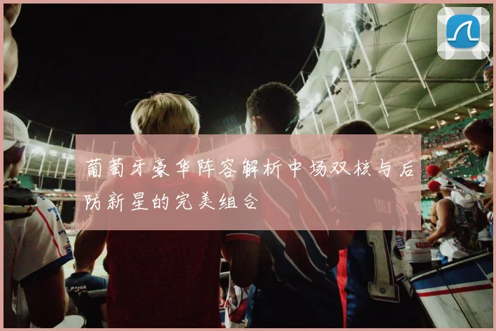葡萄牙豪华阵容解析中场双核与后防新星的完美组合