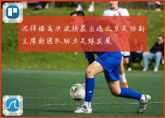 沈祥福高洪波杨晨当选北京足协副主席新团队助力足球发展